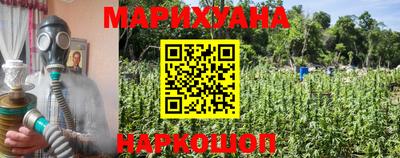 прущие грибы Конаково