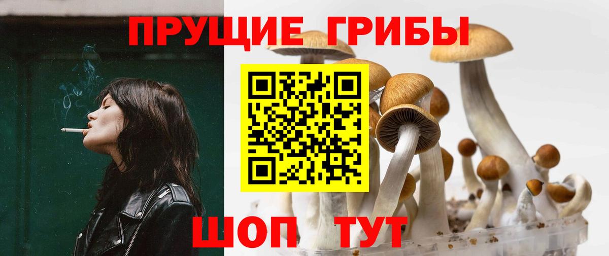 Псилоцибиновые грибы Cubensis  Галлюциногенные грибы Cubensis  Вход с VPN  Кострома 