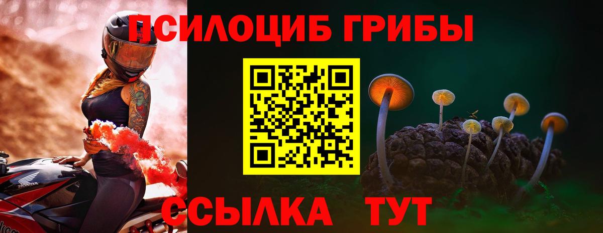 Галлюциногенные грибы MAGIC MUSHROOMS Кострома